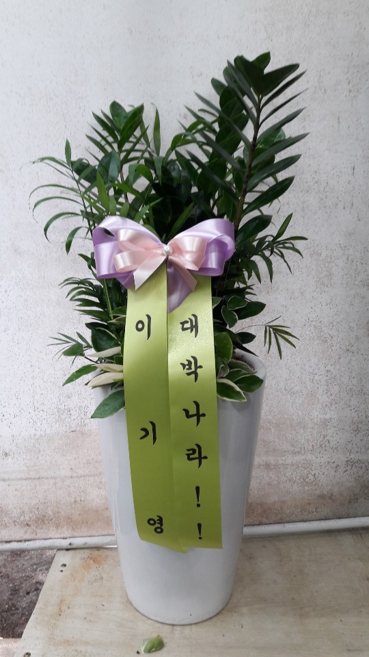 업로드 이미지