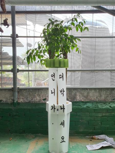 업로드 이미지