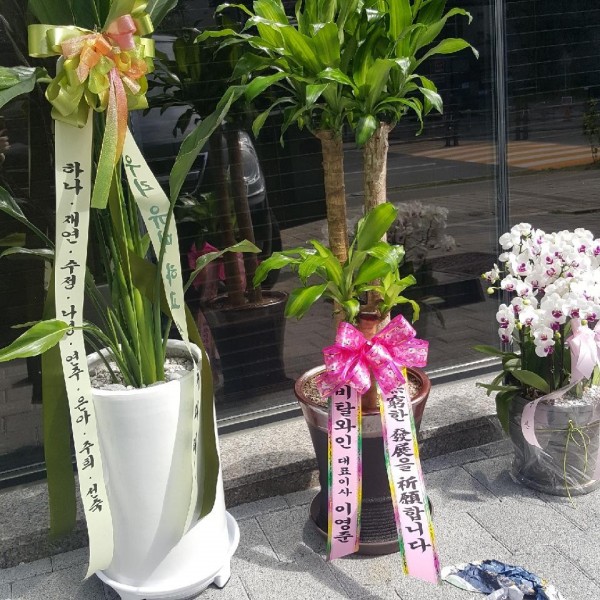 업로드 이미지