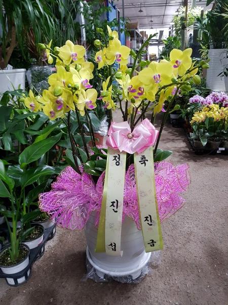 업로드 이미지