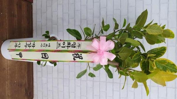 업로드 이미지