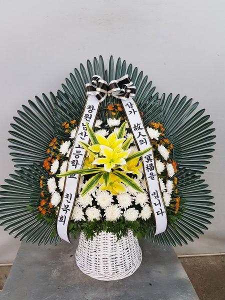 업로드 이미지
