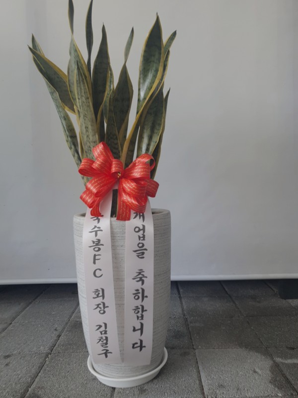 업로드 이미지