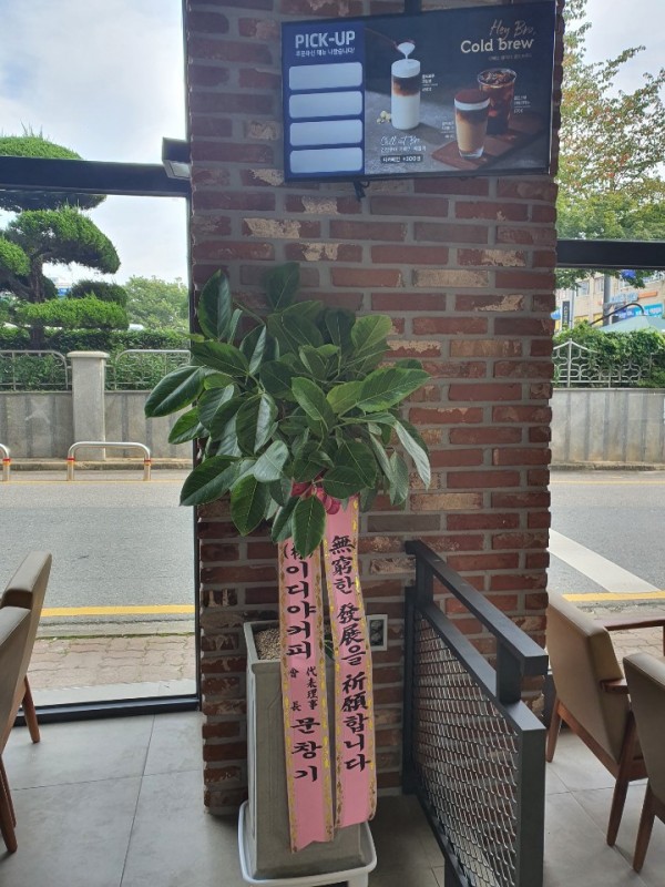 업로드 이미지