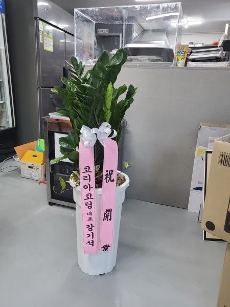 업로드 이미지