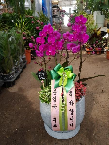 업로드 이미지