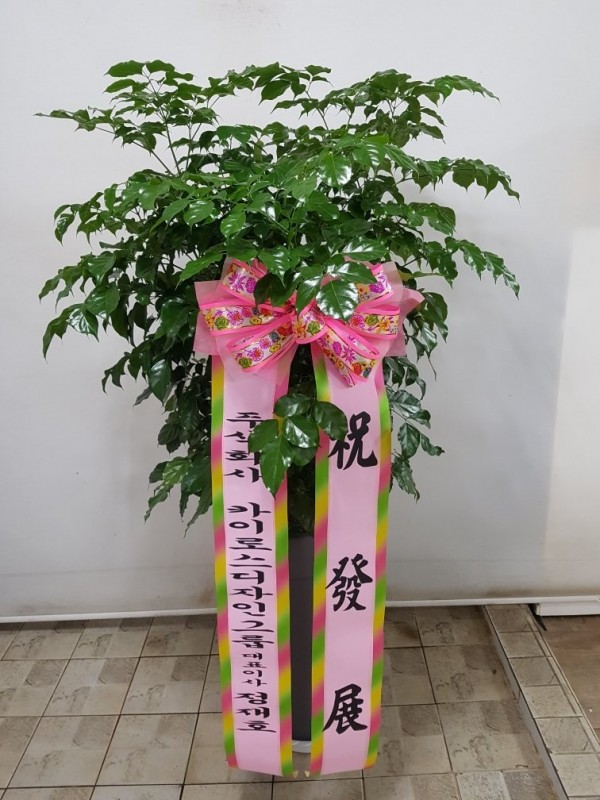 업로드 이미지