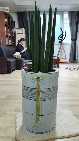 업로드 이미지