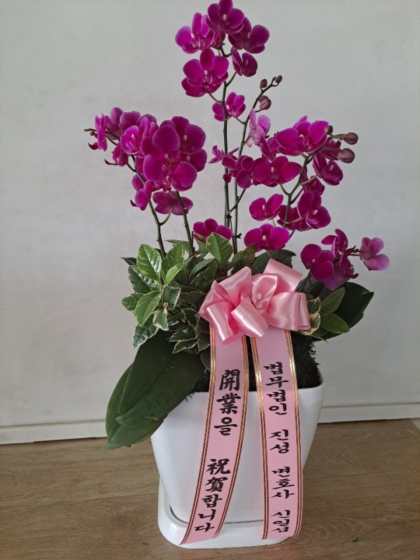 업로드 이미지