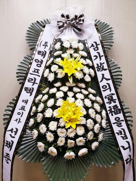 업로드 이미지