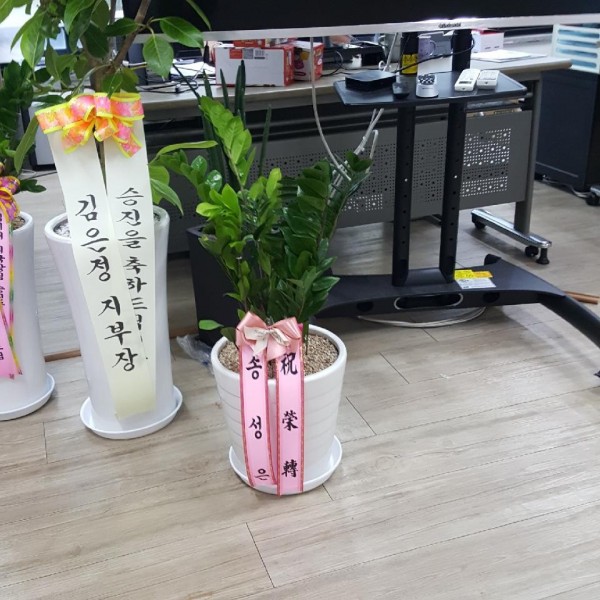 업로드 이미지