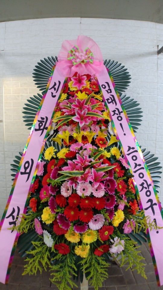 업로드 이미지