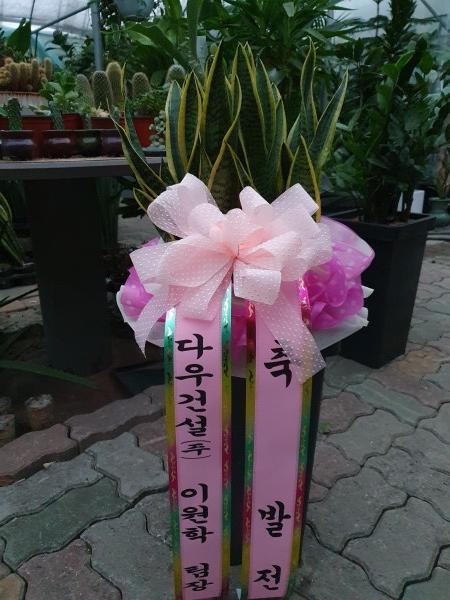 업로드 이미지