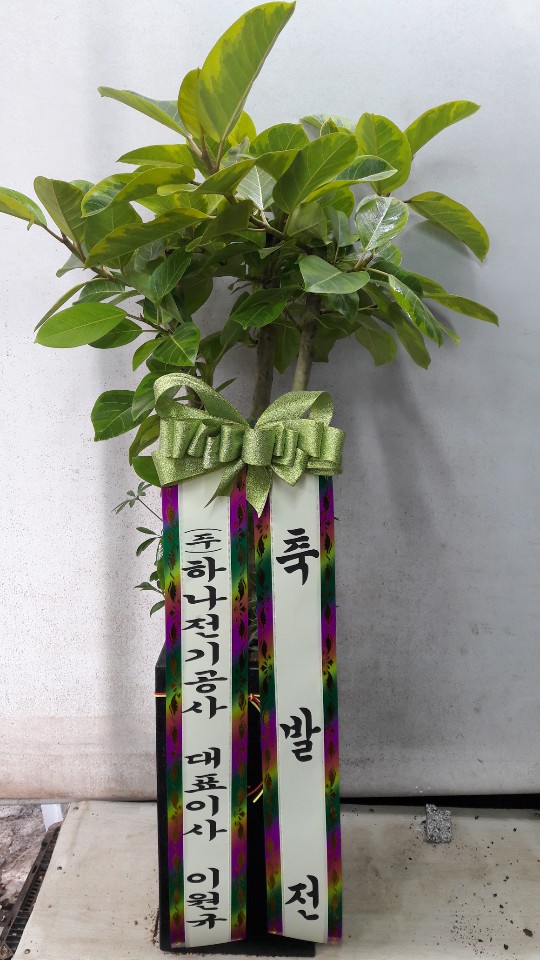 업로드 이미지