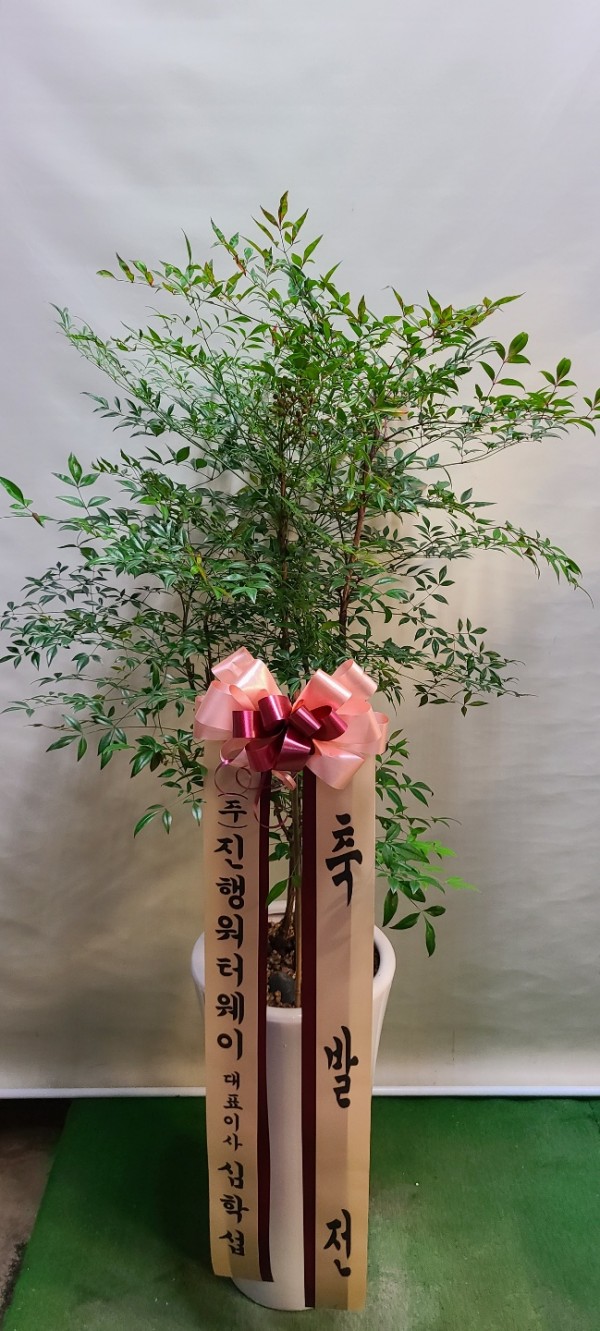 업로드 이미지