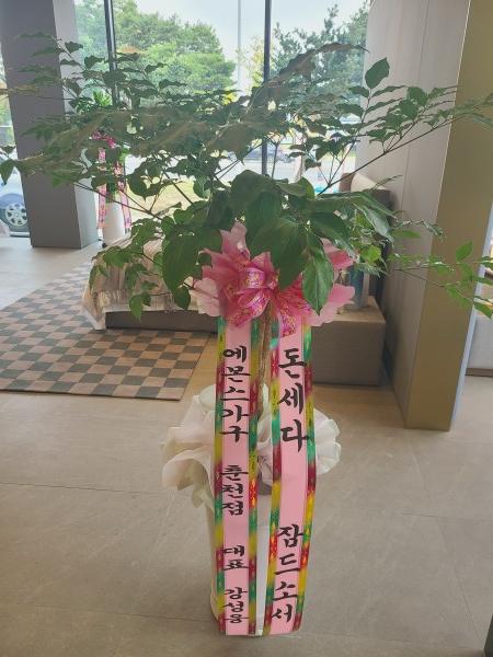 업로드 이미지