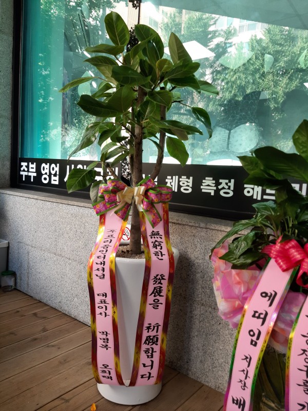 업로드 이미지