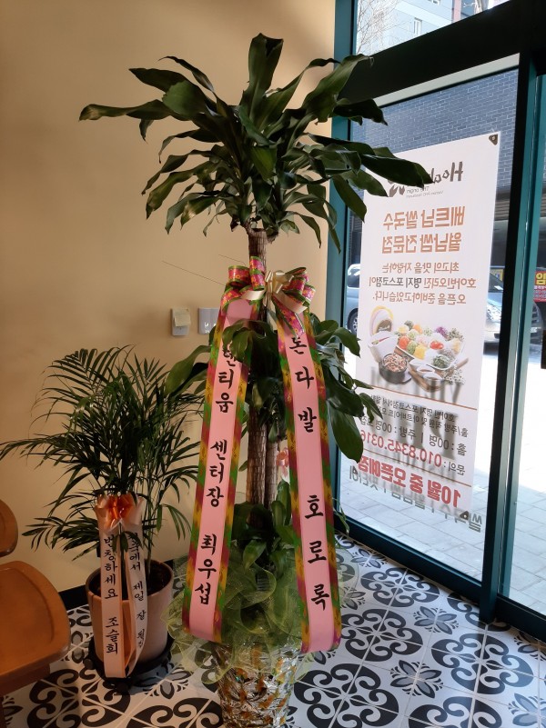 업로드 이미지