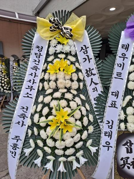 업로드 이미지