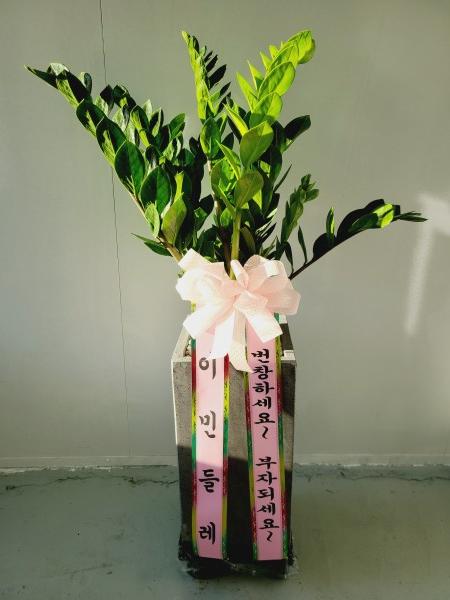 업로드 이미지
