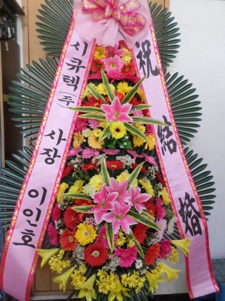 업로드 이미지