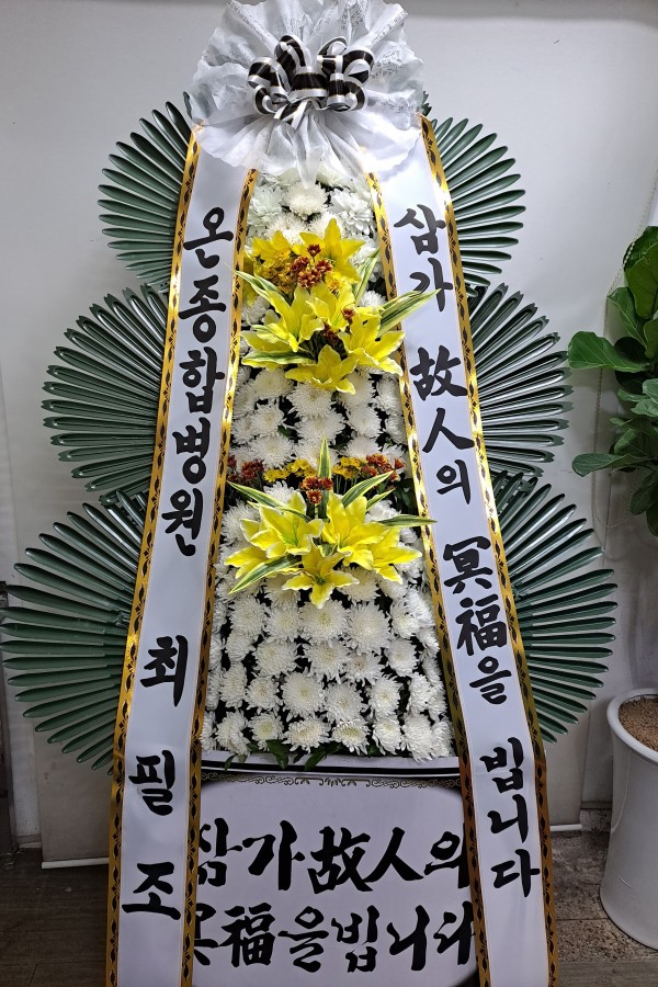 업로드 이미지