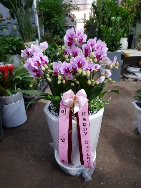 업로드 이미지