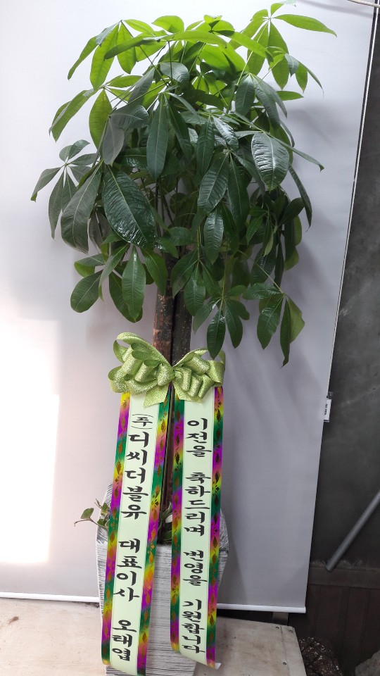 업로드 이미지