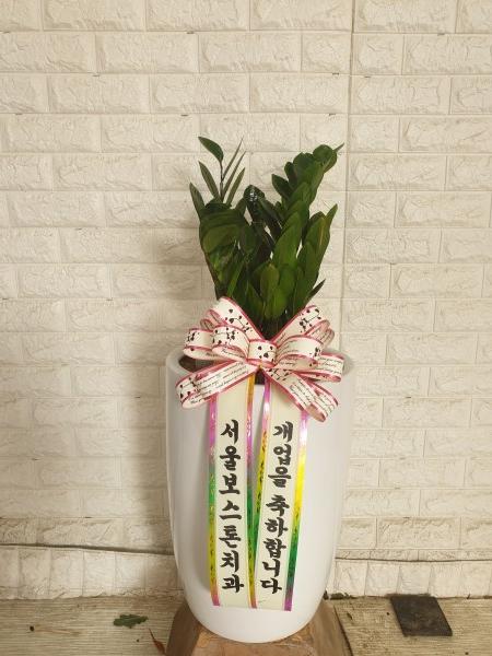업로드 이미지