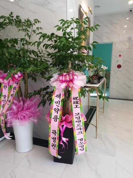 업로드 이미지