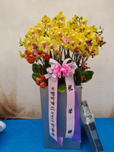 업로드 이미지