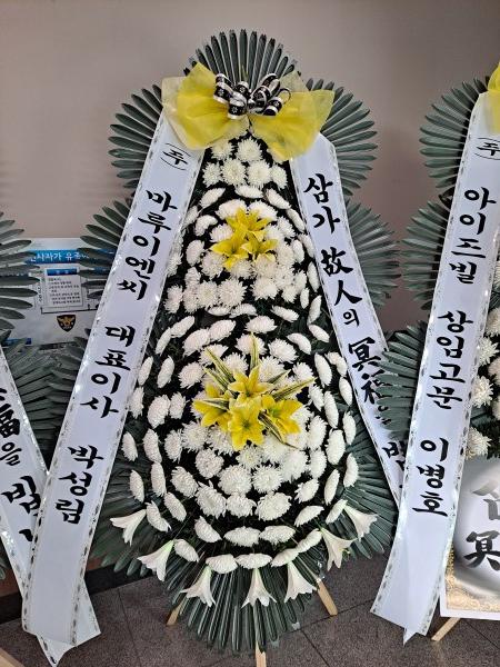 업로드 이미지