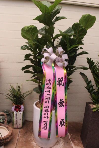 업로드 이미지