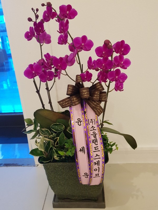 업로드 이미지