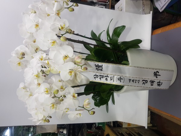 업로드 이미지