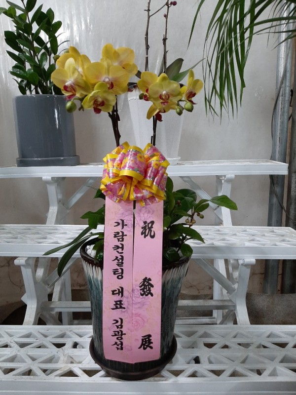 업로드 이미지