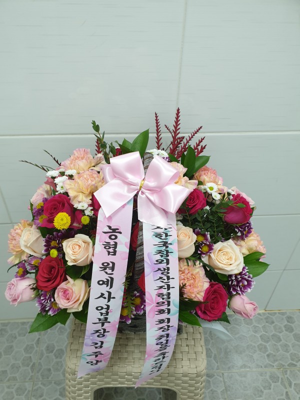 업로드 이미지