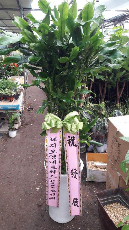 업로드 이미지
