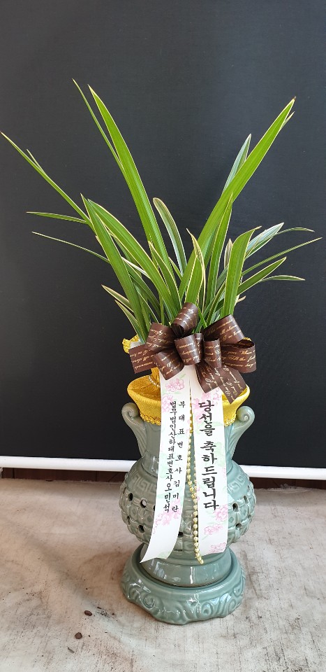 업로드 이미지