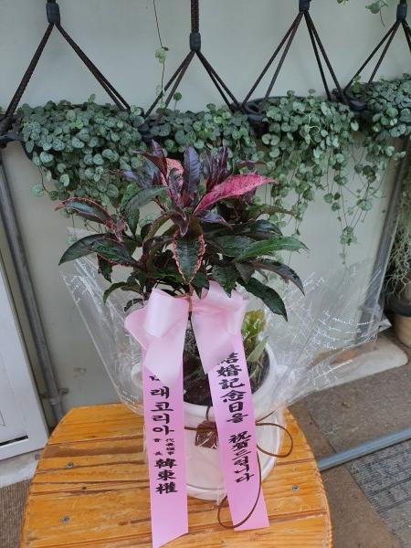업로드 이미지