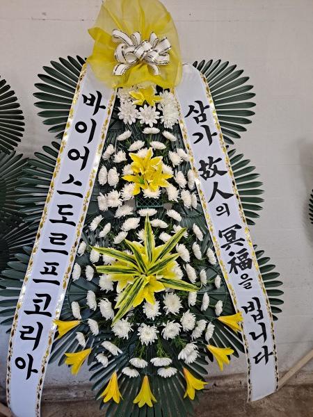 업로드 이미지