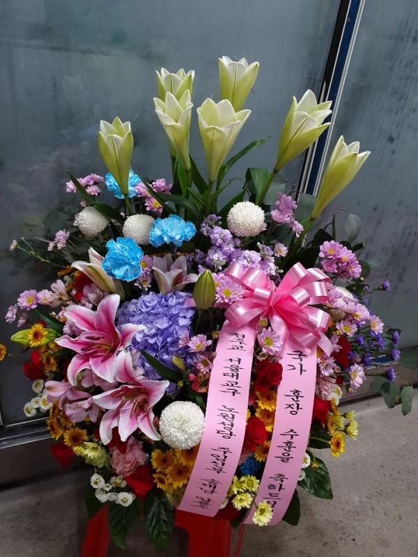 업로드 이미지