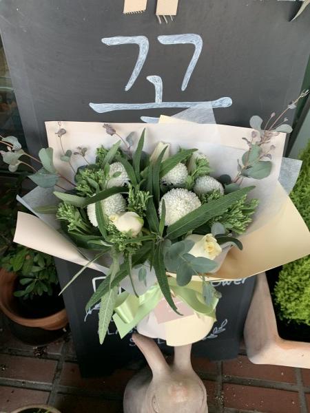 업로드 이미지