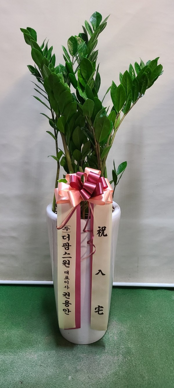 업로드 이미지