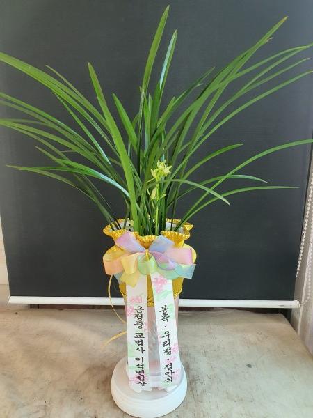 업로드 이미지