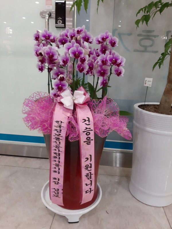 업로드 이미지
