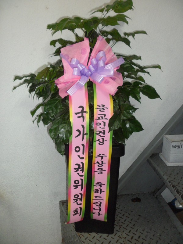 업로드 이미지
