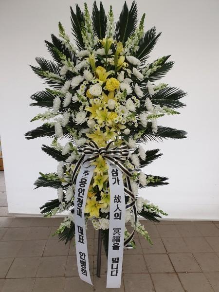 업로드 이미지