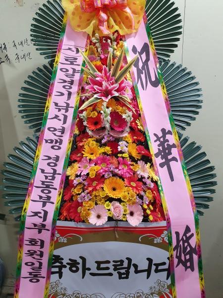 업로드 이미지
