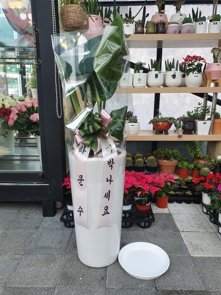 업로드 이미지